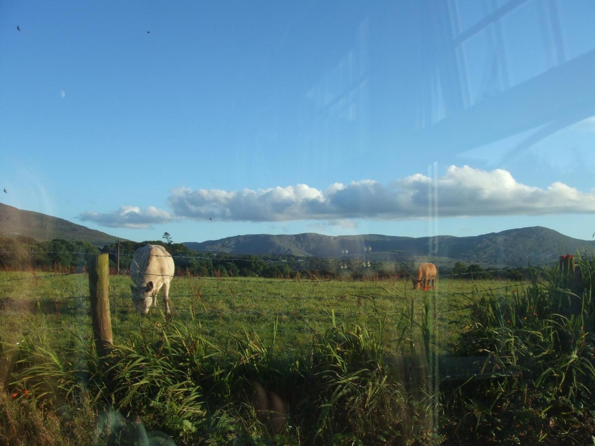 River Meadows B&B Kenmare Exterior foto